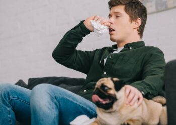 Aprenda de uma vez por todas se cachorro pode pegar resfriado humano