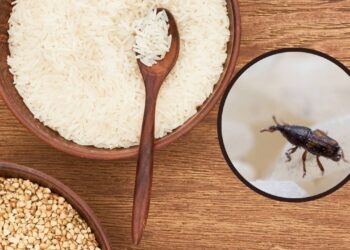 O método natural que elimina carunchos e evita o retorno