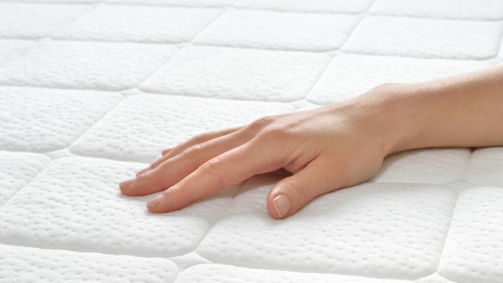 Onde os percevejos de cama se escondem e como achá-los