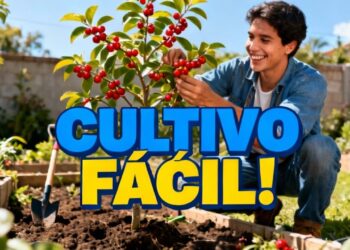 Fruto que cresce rápido: plante no quintal e colha logo