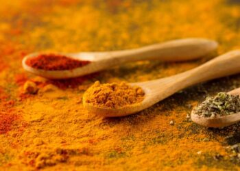 Conheça os 3 tipos de curry e para que serve cada um