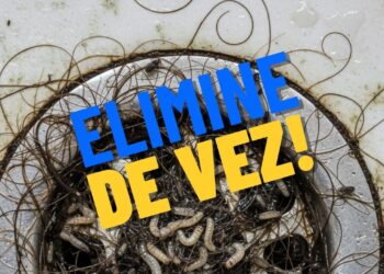 Elimine as larvas e os insetos que aparecem no ralo de vez