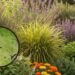 Controle as pragas naturalmente com estas 7 plantas