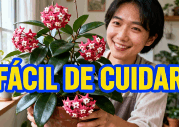 Flor parece artificial, mas é natural e fácil de cultivar