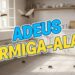 As três plantas que ajudam a afastar formiga-alada de sua casa