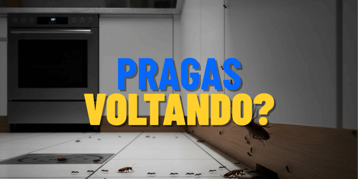 Por que as formigas e as baratas voltam mesmo depois da dedetização?