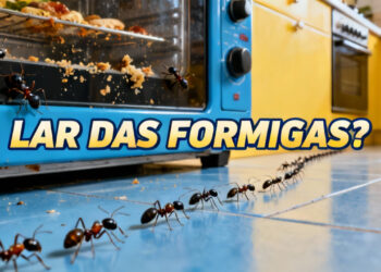 Como impedir que pragas voltem ao seu forno de vez