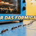 Como impedir que pragas voltem ao seu forno de vez