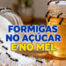 O segredo para evitar formigas dentro do açúcar e do mel