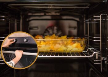 Forno elétrico: quando usar a resistência de cima e a de baixo