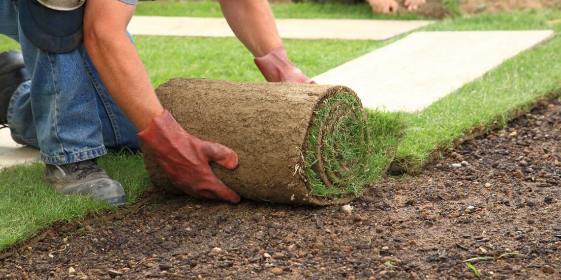 Como plantar grama da forma certa, segundo especialista