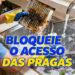 Filtro do exaustor: como limpar e evitar insetos na cozinha