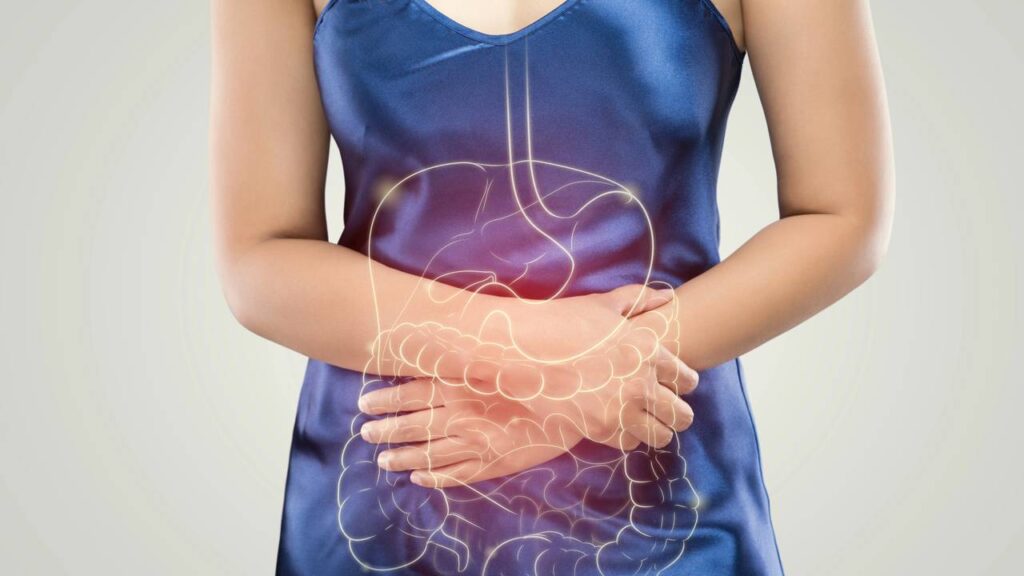 Como a microbiota intestinal impacta o cérebro e o comportamento