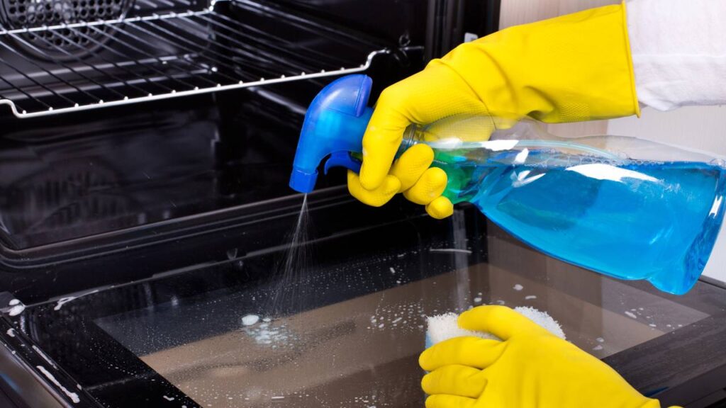 Veja como lidar com as traças no forno elétrico sem produtos químicos
