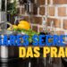 3 Locais da cozinha onde as pragas se escondem sem você saber