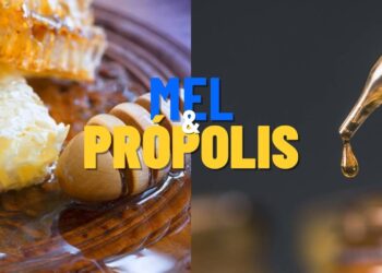 O que o mel com própolis faz pela sua imunidade e você não sabia