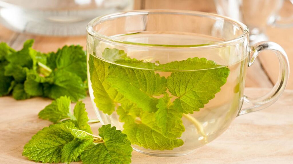 Alivie a dor de cabeça e a tensão naturalmente com estas plantas medicinais