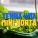 Frutas perfeitas para quem quer começar uma mini horta