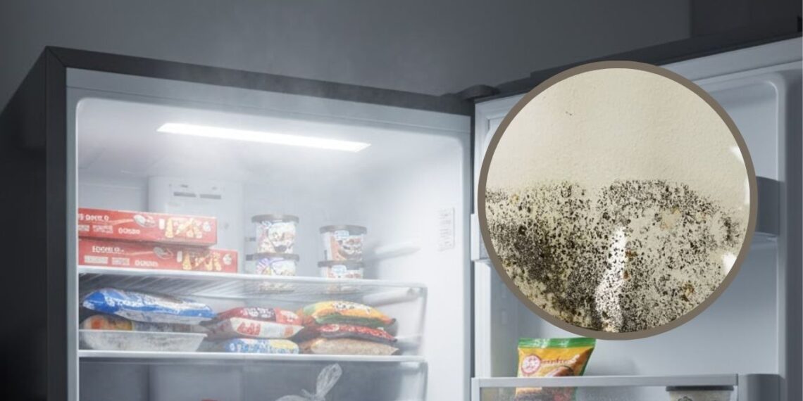 Esta mistura simples remove fungos da borracha do freezer