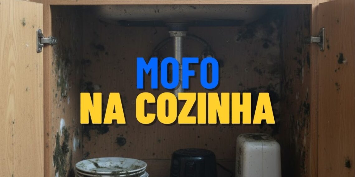 Dicas para evitar o mofo no armário da cozinha durante o verão
