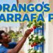 Cultive morangos o ano todo com garrafa pet