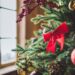 4 signos que entram em uma fase mais positiva do ano logo após o Natal