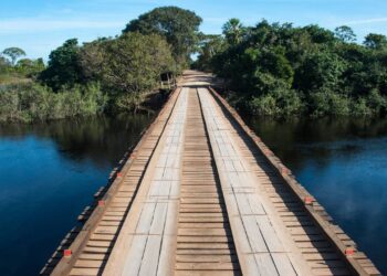 Maior aquário de água doce do mundo fica no Brasil, e a entrada é grátis – saiba como visitar