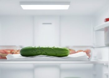 Como conservar pepino crocante por até 10 dias na geladeira