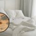 Onde os percevejos de cama se escondem e como achá-los