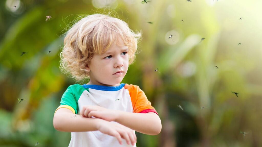 Nem repelente, nem spray químico: truque natural que espanta pernilongos