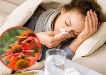 Fuja dos remédios e alivie a gripe naturalmente com estas plantas