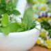 Plantas medicinais perfeitas para uso em chás e infusões
