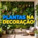 Plantas na decoração: como deixar a casa mais aconchegante