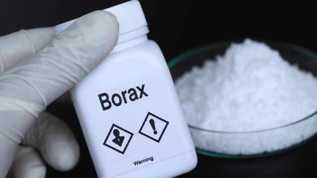 O ingrediente em pó que cria uma barreira invisível contra traças e besouros na madeira