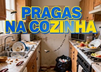 Erros na limpeza que atraem pragas para a cozinha sem você perceber