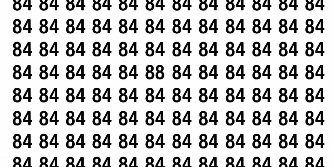 Encontre o número 88 entre os números 84 neste puzzle
