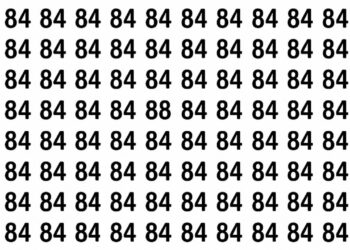 Encontre o número 88 entre os números 84 neste puzzle