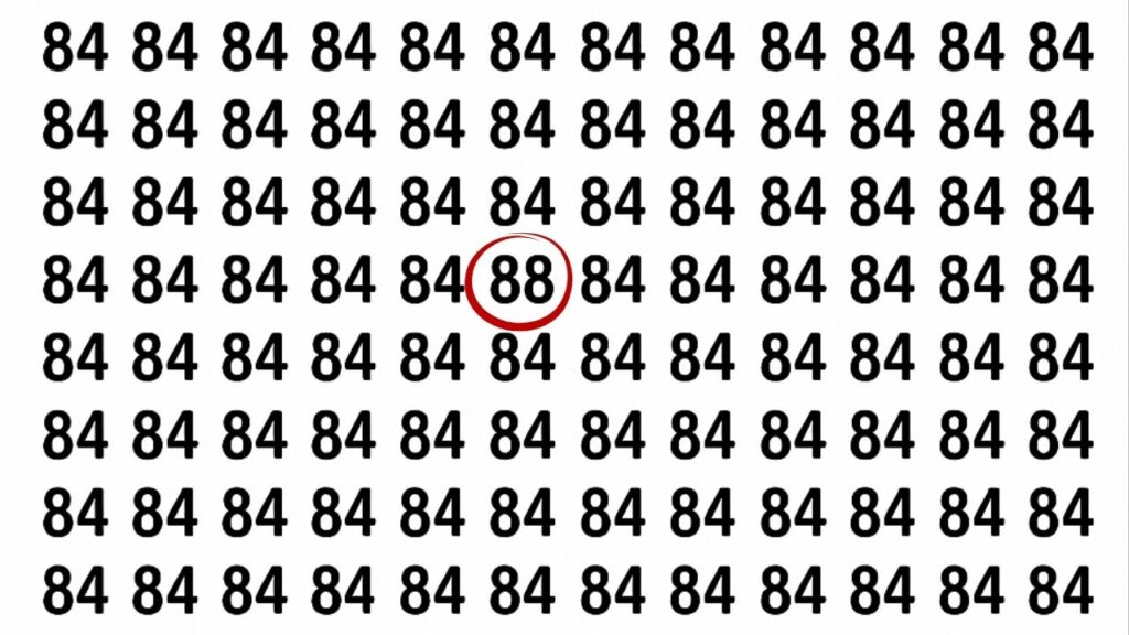 Qual é a resposta do puzzle e onde está o número 88?