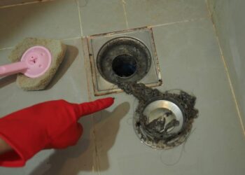 Sem mais baratas ou ralos fedorentos com passo a passo para manter o banheiro limpo