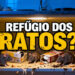 O esconderijo preferido dos ratos dentro de armários e despensas