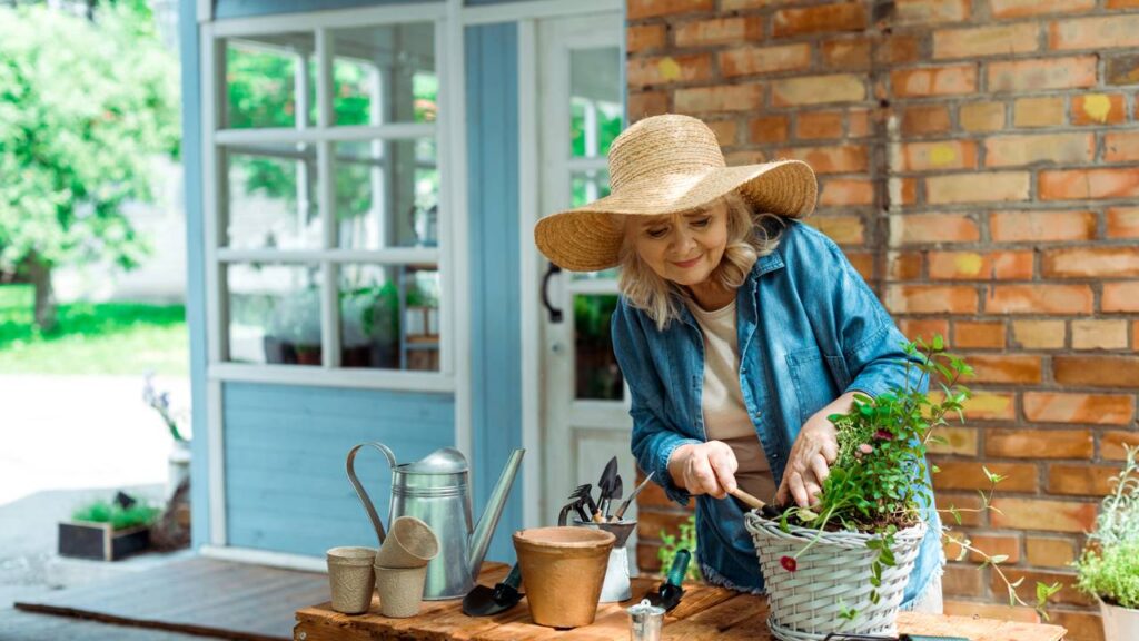 Plantas que atraem boas energias para Sagitário, segundo Feng Shui