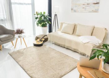 Estas 3 plantas podem mudar completamente sua sala
