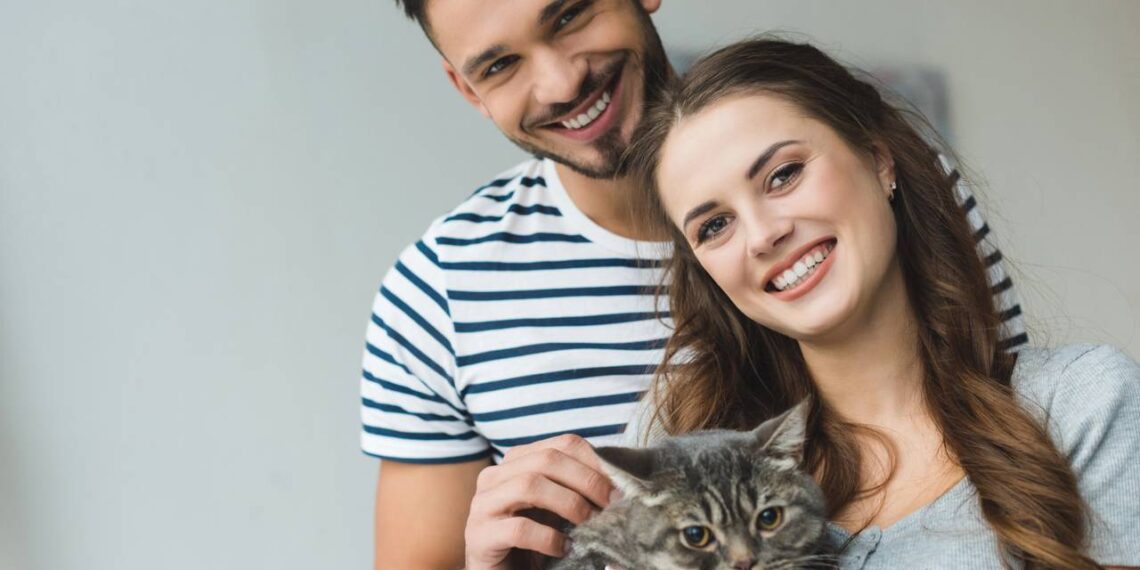 3 nomes divertidos para dar ao seu gato agitado