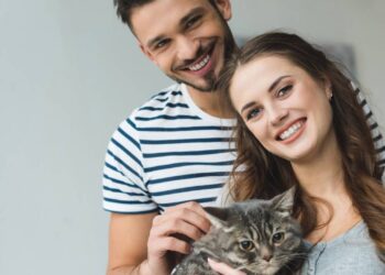 3 nomes divertidos para dar ao seu gato agitado