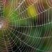 Lugares da sala onde as aranhas gostam de fazer teias