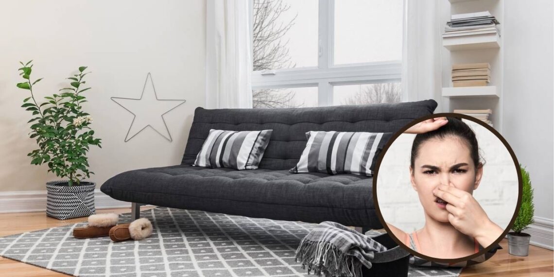 Limpe o tapete e acabe com o mau cheiro usando produtos que você já tem em casa