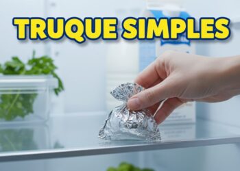 Colocar papel alumínio e café na geladeira: por que é recomendado e para que serve