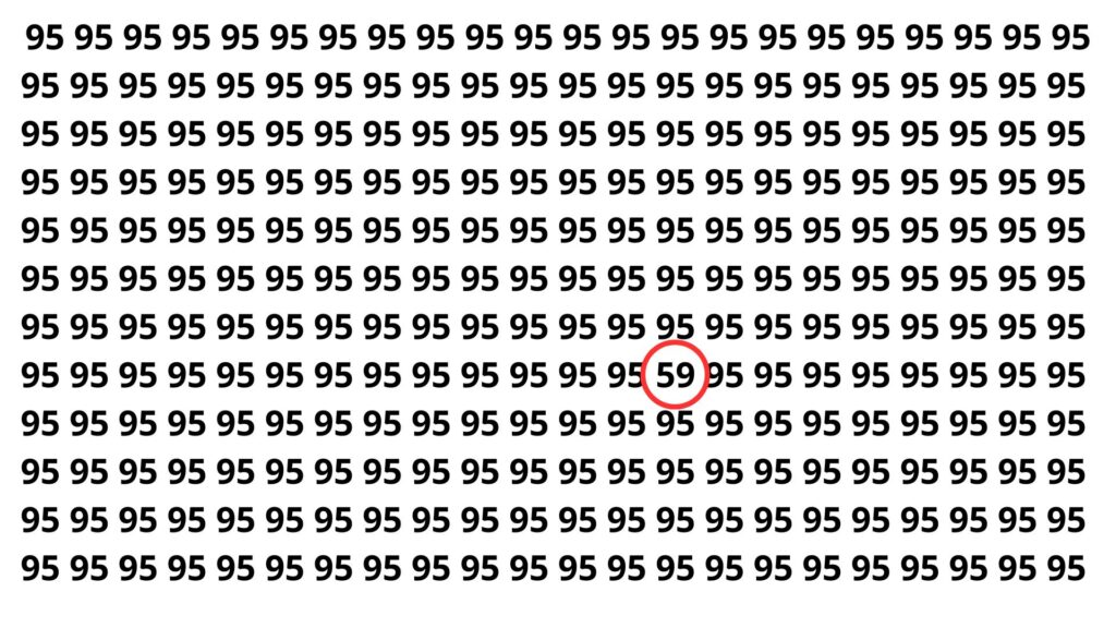 Encontre o número 59 entre os números 95 neste puzzle