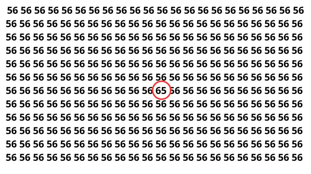 Somente os mais rápidos encontram o número oculto em apenas 8 segundos