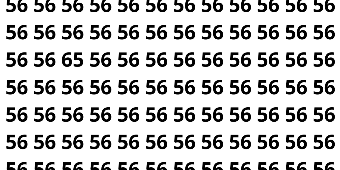 Encontre o número 65 entre os números 56 neste puzzle